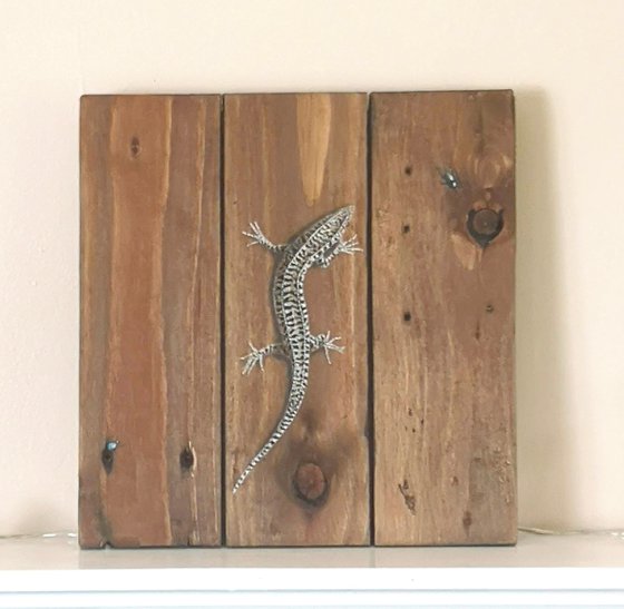 Lizard on recycled wood