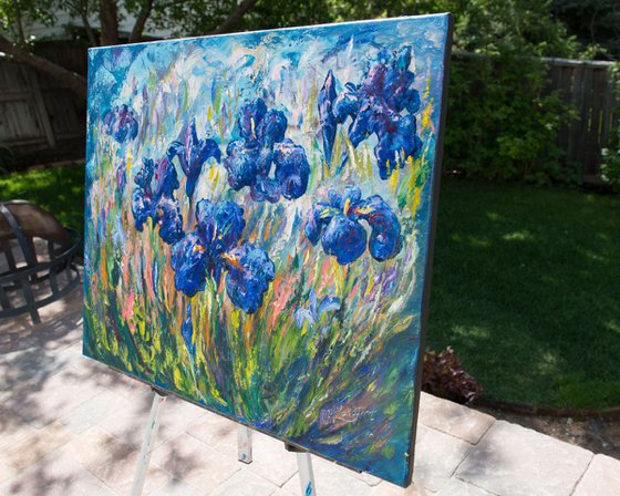 Countryside Irises