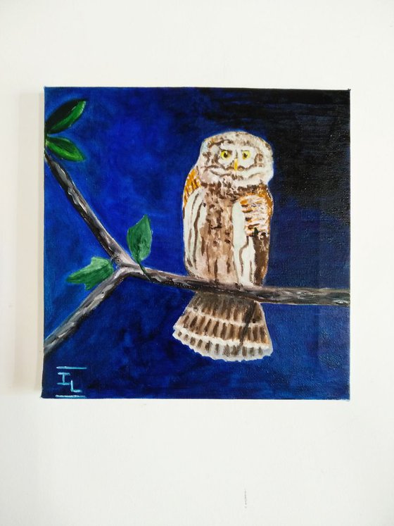 The little owl 2