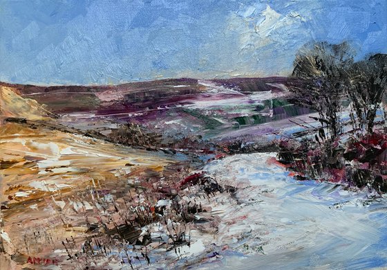 Winter Moor Danby