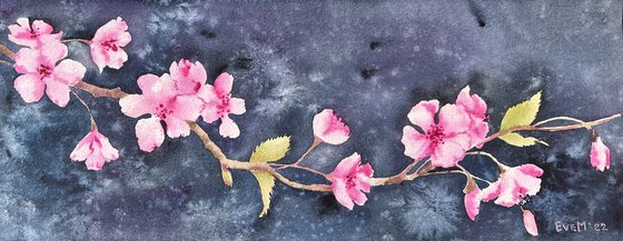 Blossoming cherry branch. Original watercolor.