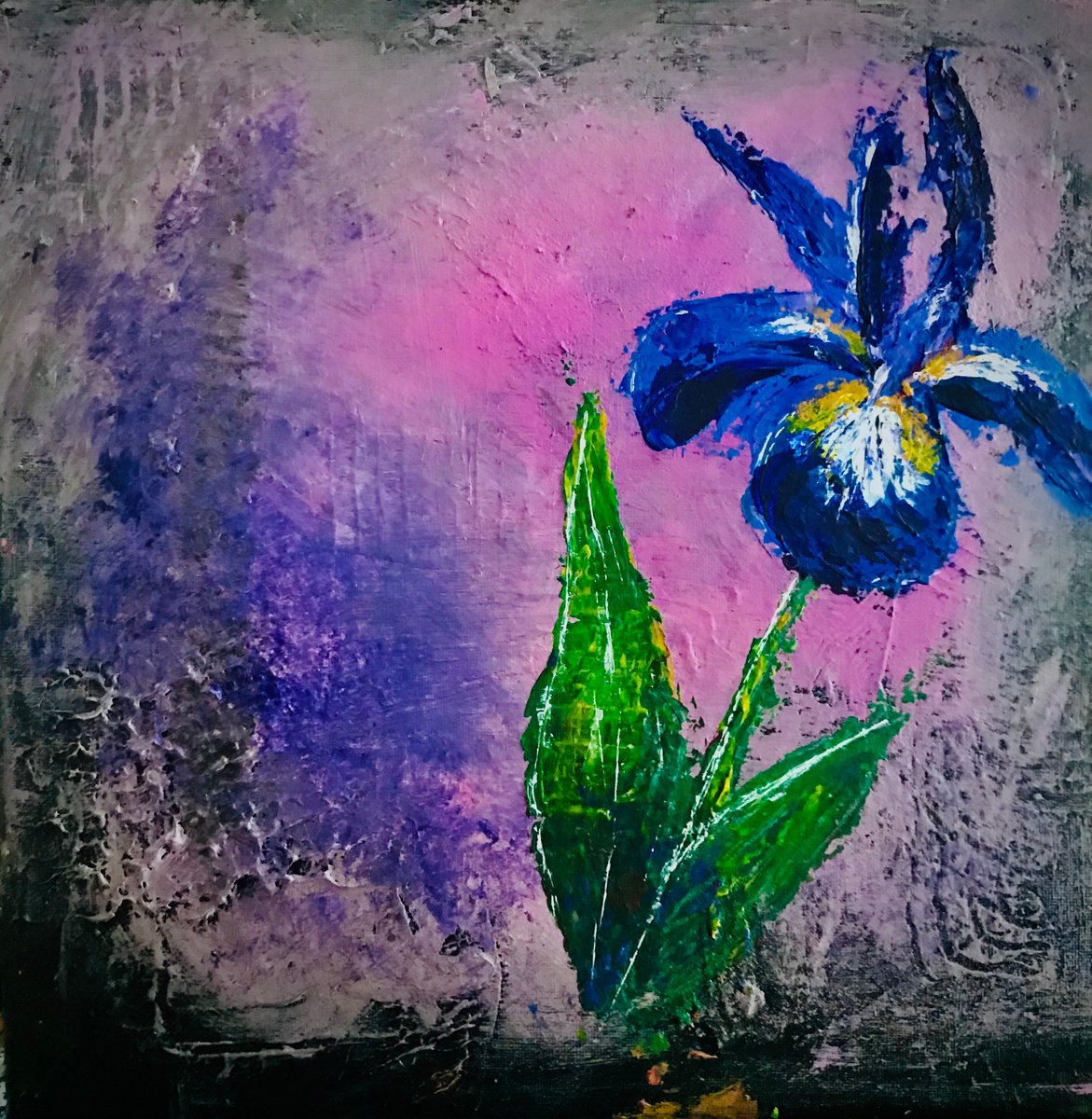 Purple Iris by Carolyn Shoemaker (Soma)