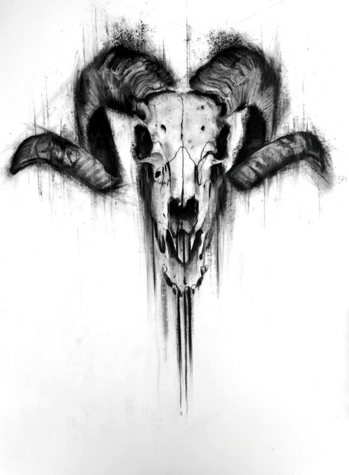 skull by Denny Stoekenbroek