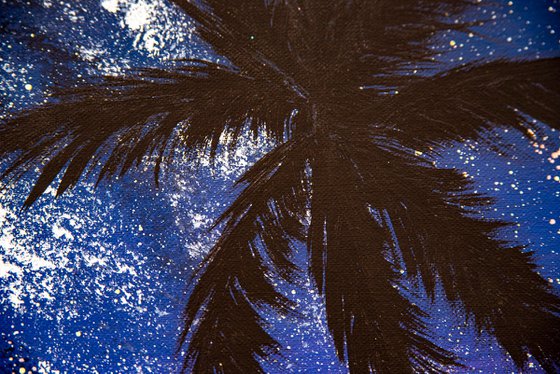 Palm trees shadows and starlight