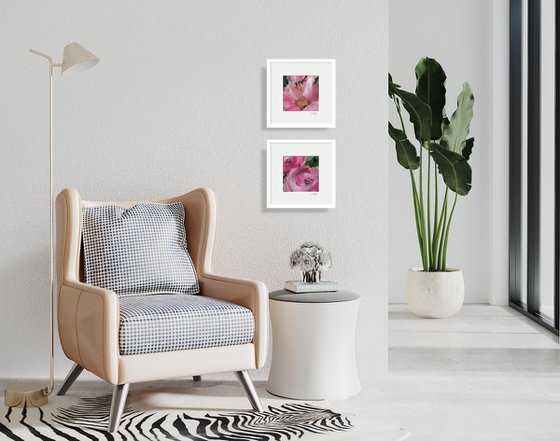 Shabby Chic Charm Collection 3