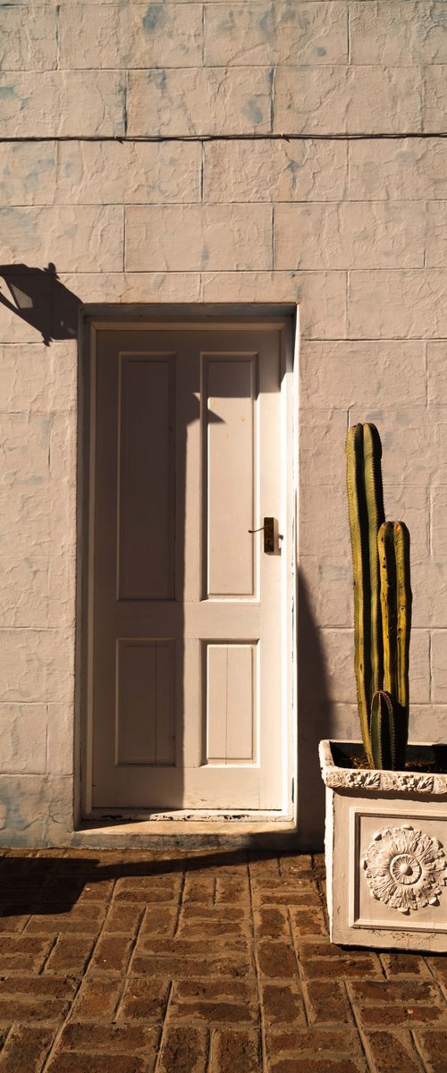 Shadows and Saguaro II by Fatima Mian