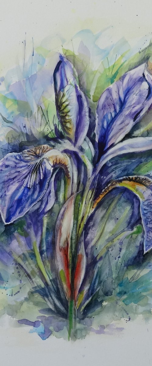 Iris by Mel Davies Original Art