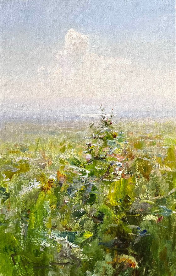 Sun in the steppe