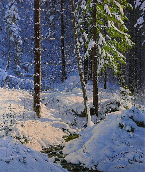 Winter mood in the forest