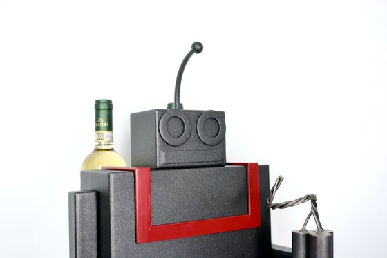 ASTROROBOOK METALLIC BLACK/BORDEAUX N2