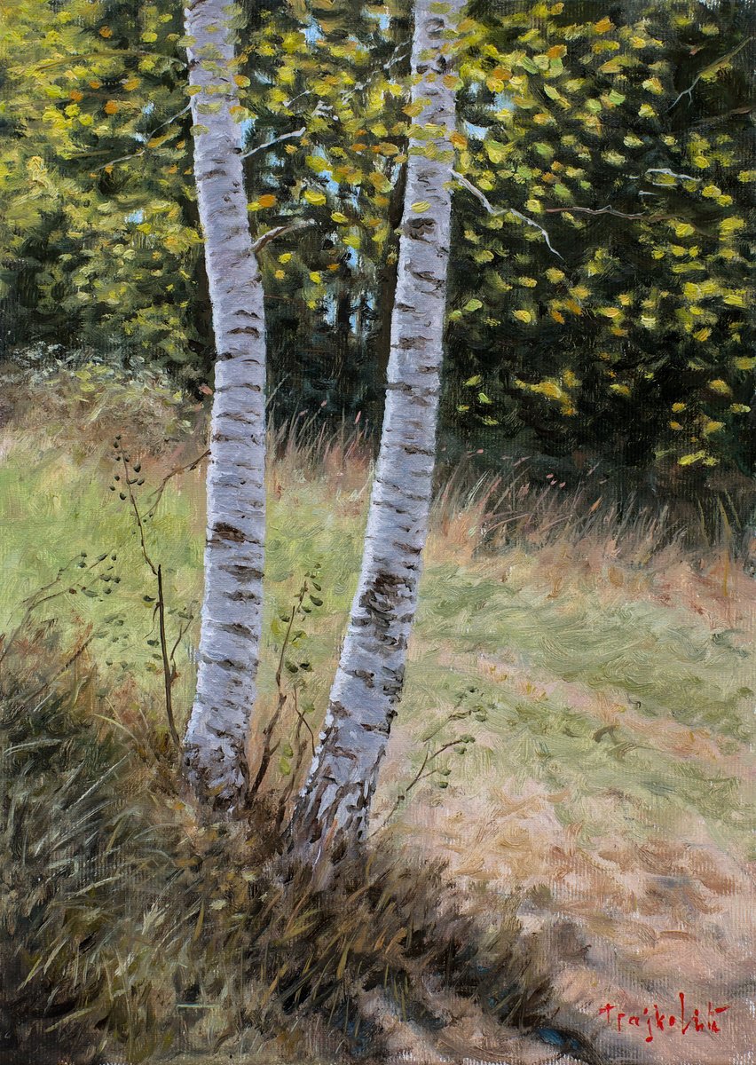 Impressionistic Landscape Oil Painting By Dejan Trajkovic, 10 X 14, Two Birches, Original Artwork