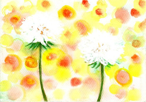 Dandelions in the sunshine by Yumi Kudo