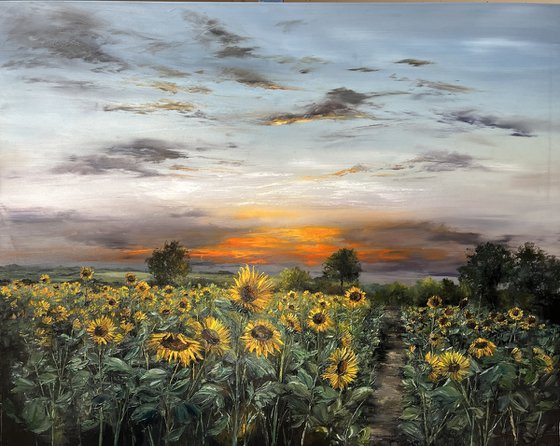 Path to Sunflowers