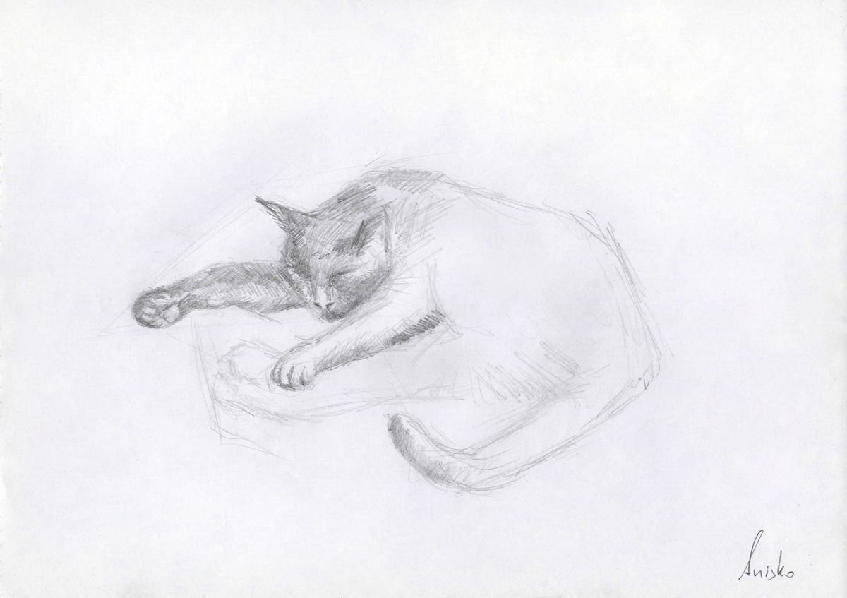 Cat Study 2 by MK Anisko