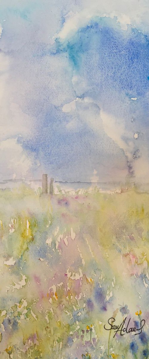 Meadow on the chalk by Samantha Adams