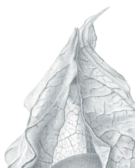 Dry Vault