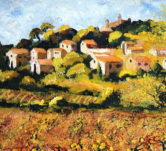 Vineyards in rasteau Provence