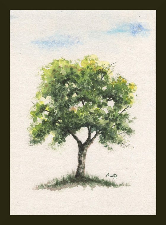 Bur oak tree