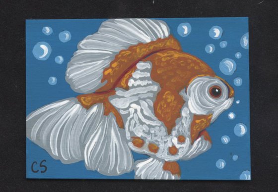 ACEO ATC Original Painting Fancy Goldfish Pet Art-Carla Smale