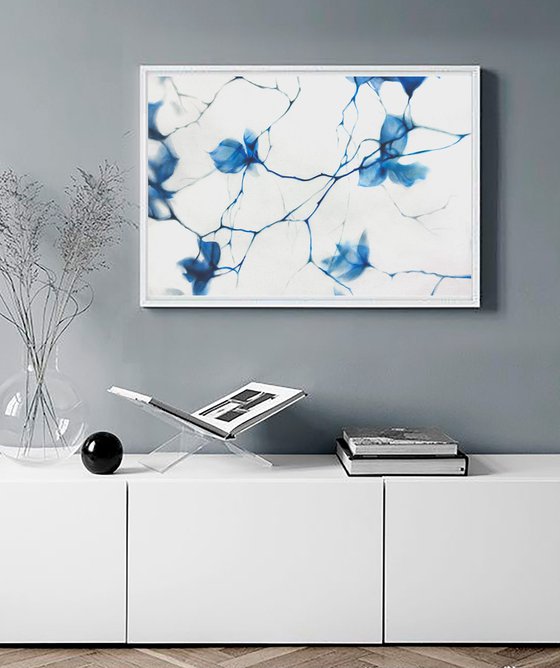 Fragile Blue Magnolia Cyanotype Style