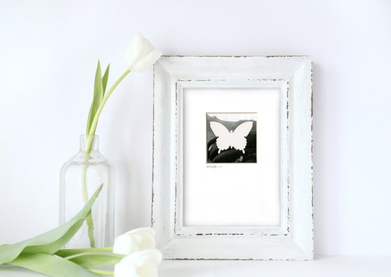 Butterfly Collage Collection 1 - 3 Minimalist Collages by Kathy Morton Stanion