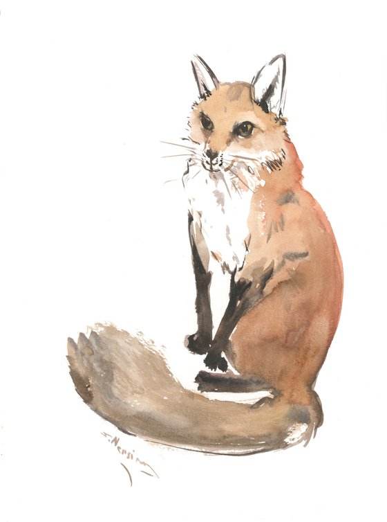 Fox Animal Illustration