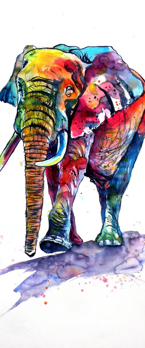 Happy colourful elephant by Kovács Anna Brigitta