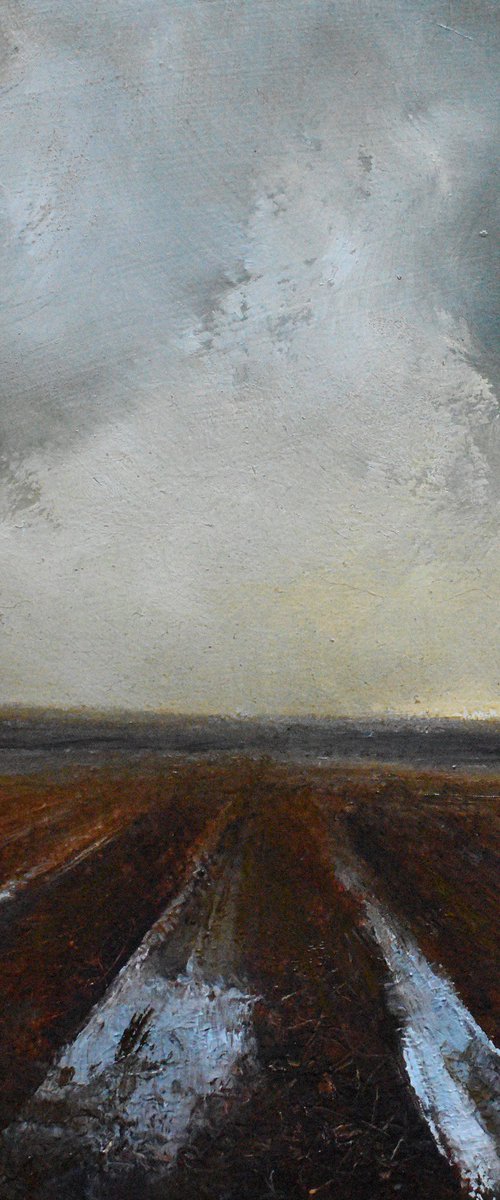 Ploughed field #3 by Colin Slater