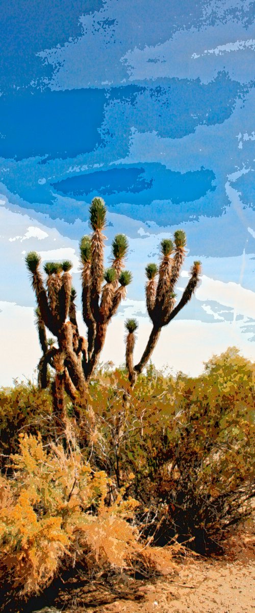 PIECES OF THE SKY Joshua Tree National Park CA by William Dey