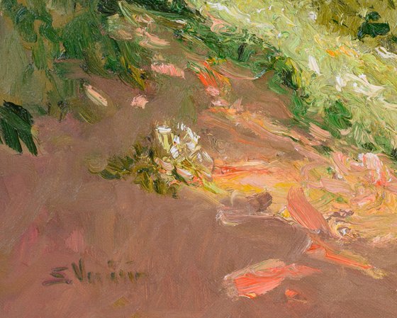 Summer Meadow. HIllside