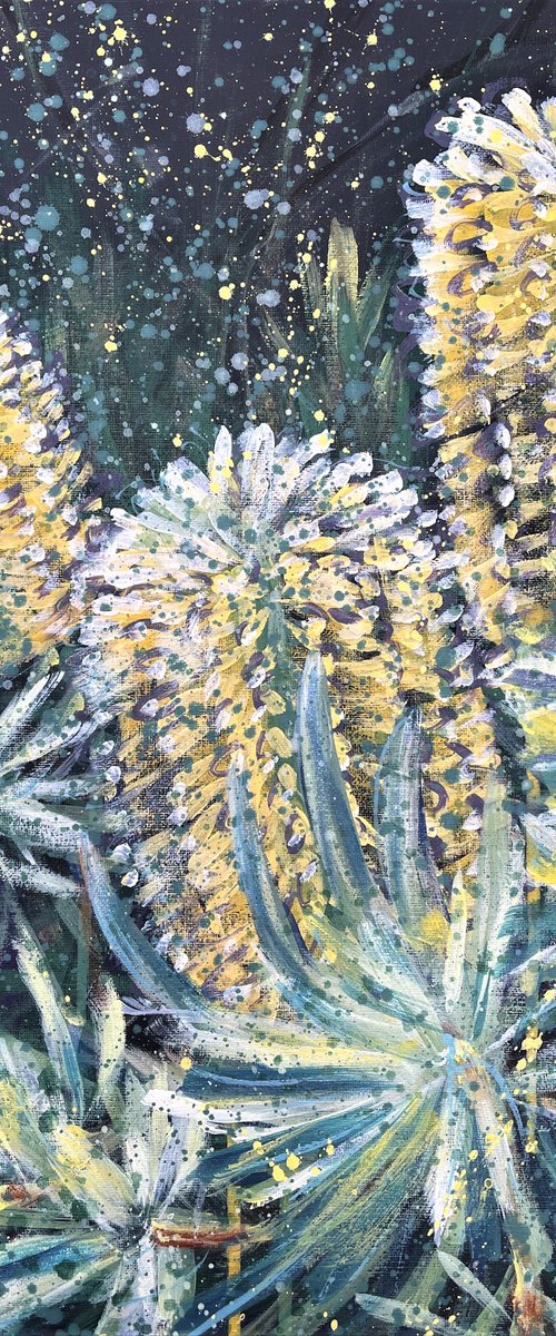 See Through the Light  - Banksia spinulosa by HSIN LIN