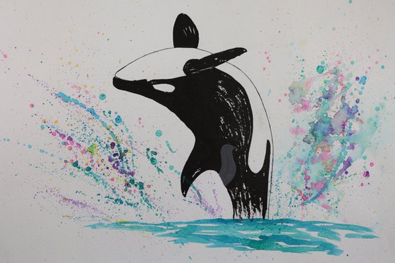 Breaching Killer Whale 1