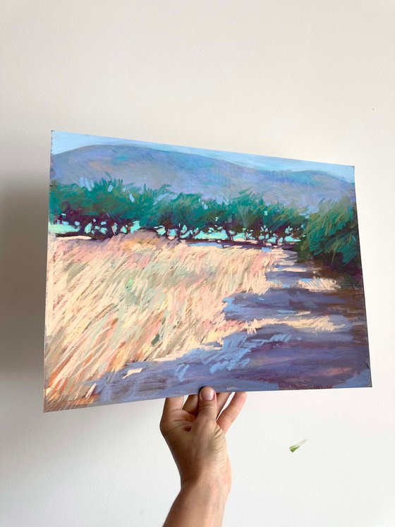 Olive trees