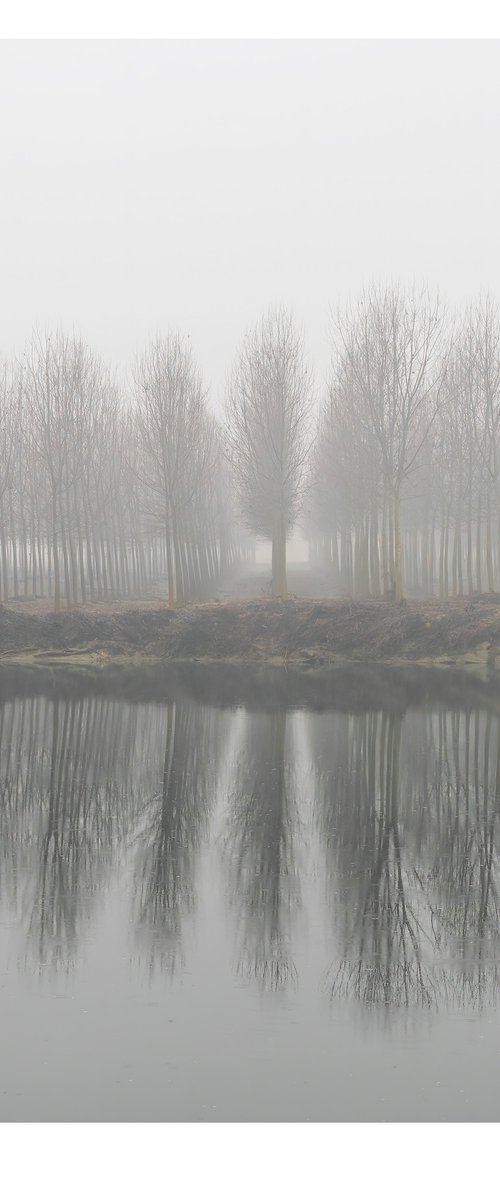 the river by Maurizio Landriscina