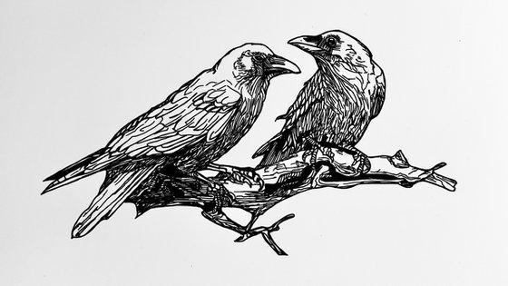 The Crowiness of Crows