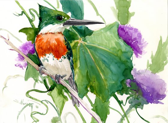 Green Kingfisher