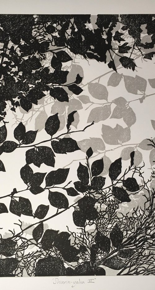Shinrin-yoku II (version 2) by Susan Noble