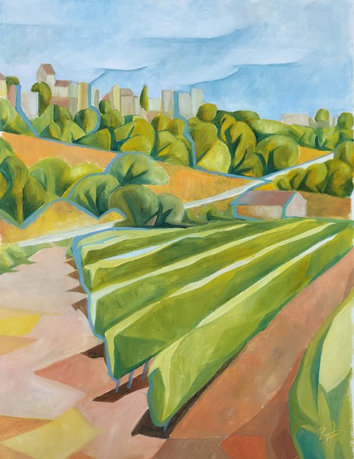 provencale vines by Andrew Clayton