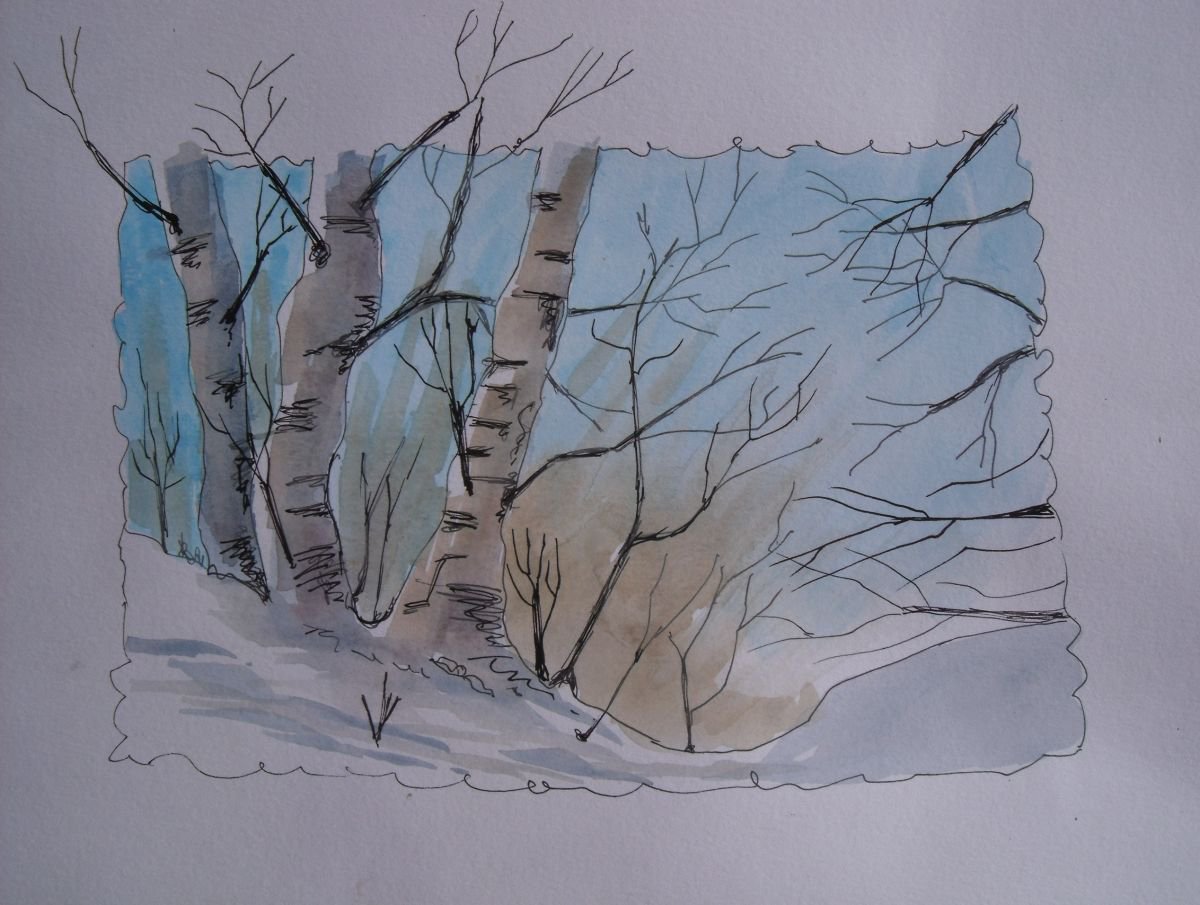 Birch in Winter by Ruth Searle