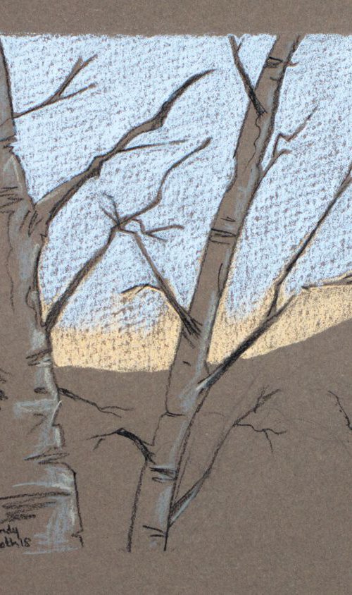 Winter Birches - Bare trees against a fading blue and orange sky by Wendy Booth