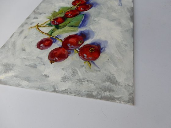 Red currant, berries still life