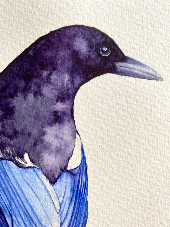 Watercolour bird magpie sitting on a branch in the rays of the sun 2