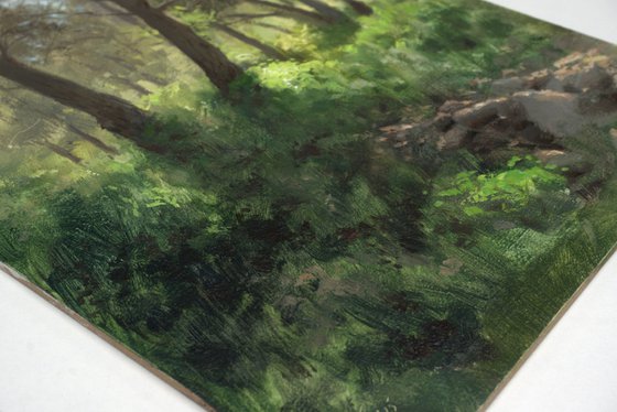 Spring in the forest