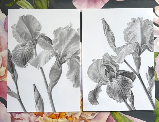 Iris Diptych