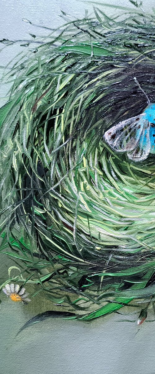 Fragile Beginnings by Nataly Derevyanko