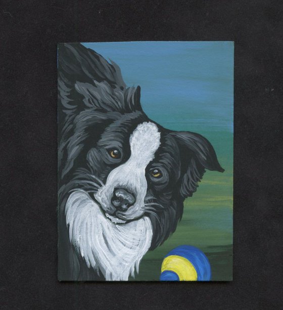 ACEO ATC Original Painting Border Collie Play Ball Dog Art-Carla Smale