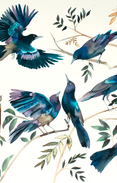 Grackles by Elizabeth Becker