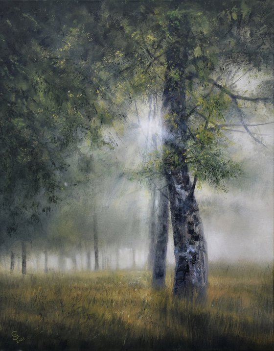 " On the Edge of Emerald Forest "