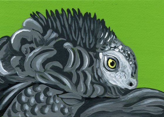 ACEO ATC Original Miniature Painting African Gray Parrot Pet Bird Art-Carla Smale