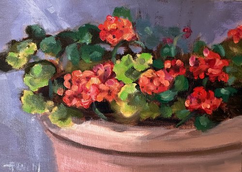 Potted Geraniums by Grace Diehl